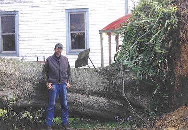 Blackistone Family Pecan Tree