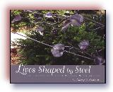 Lives Shaped by Steel